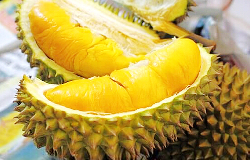 ɏĹЧc,ɏʲô̎